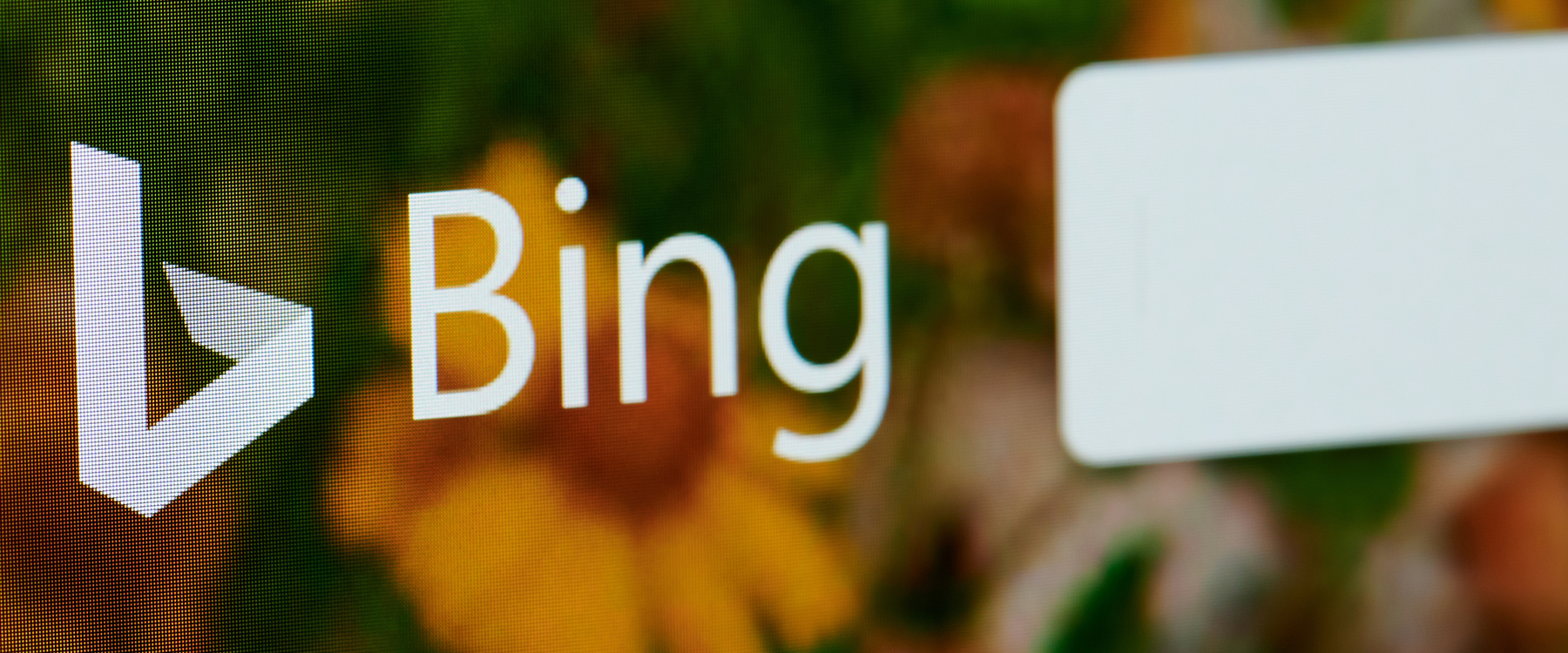 Bing for legal websites